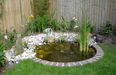 How to look after your pond or water feature - ALDA Landscapes